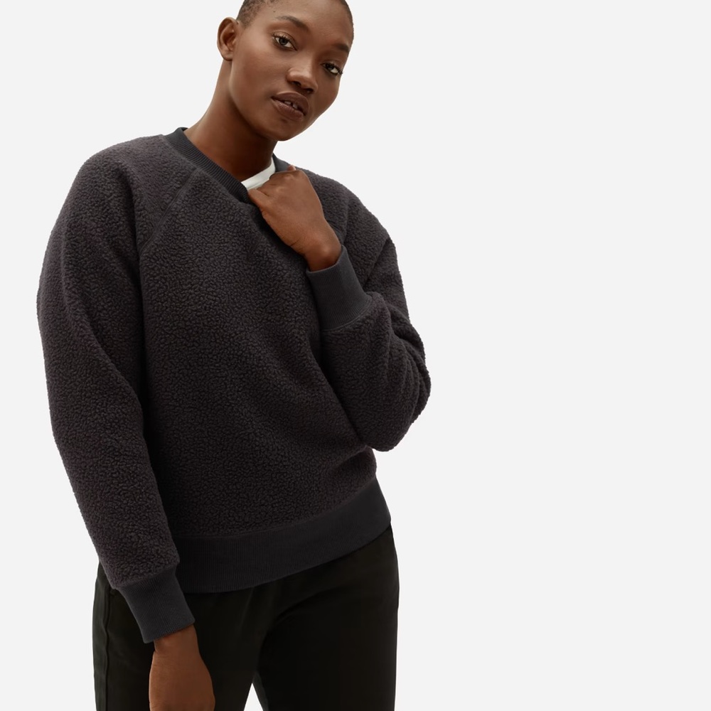 NWOT Everlane ReNew Fleece Raglan XS